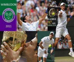 yapboz 2011 Wimbledon şampiyonu Novak Djokovic
